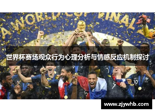 世界杯赛场观众行为心理分析与情感反应机制探讨