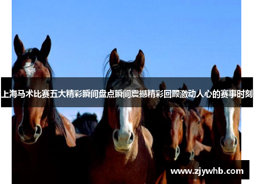 上海马术比赛五大精彩瞬间盘点瞬间震撼精彩回顾激动人心的赛事时刻