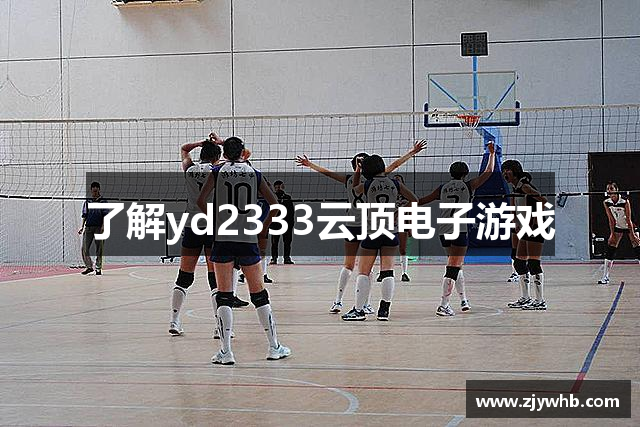 了解yd2333云顶电子游戏